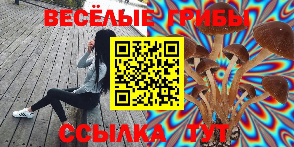Галлюциногенные грибы Psilocybe Гусь-Хрустальный
