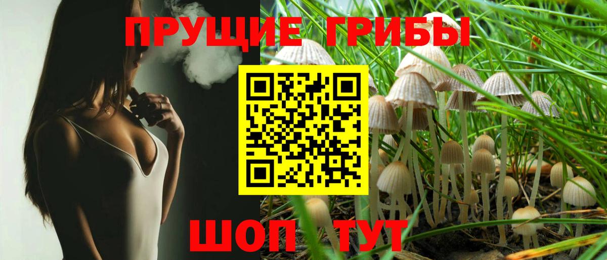 Гусь-Хрустальный  Псилоцибиновые грибы GOLDEN TEACHER  Псилоцибиновые грибы ЛСД  Вход с VPN 